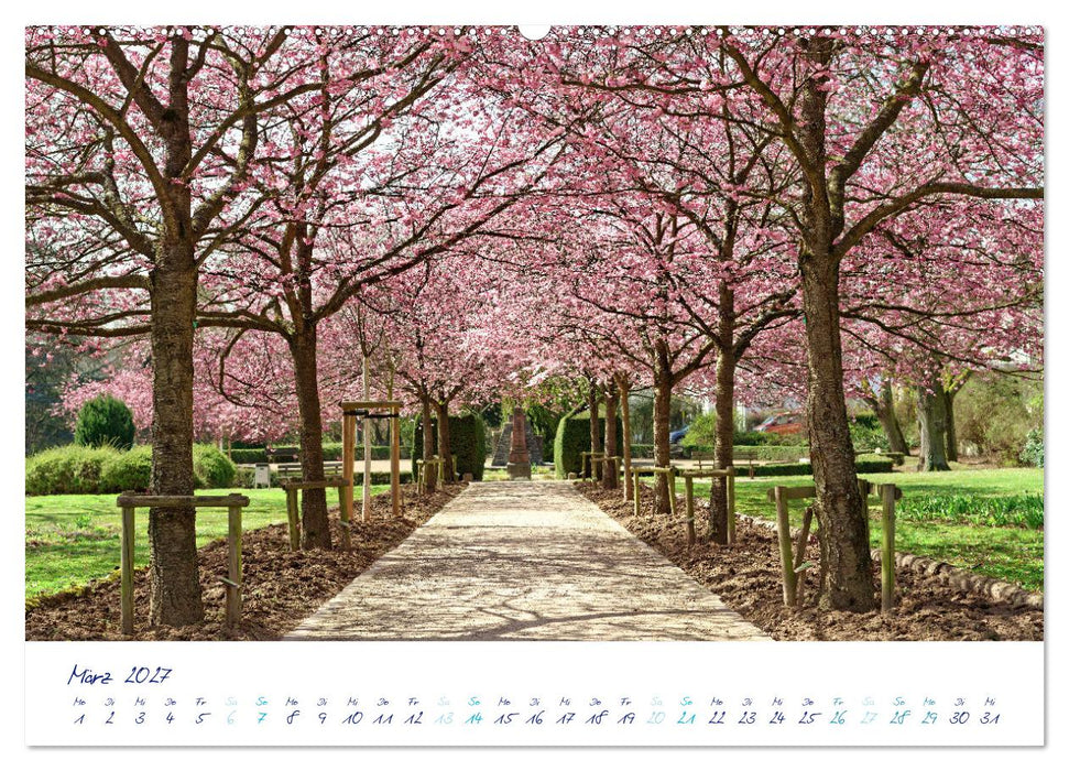 Traumschöner Taunus (CALVENDO Wandkalender 2027)
