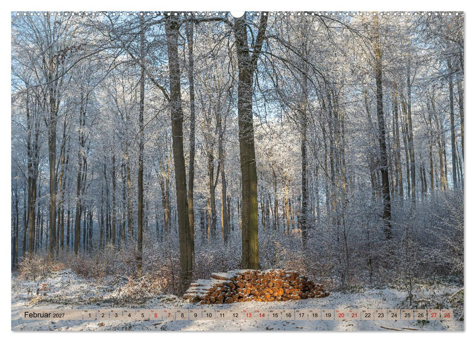 Impressionen aus Mecklenburg - Vorpommern (CALVENDO Premium Wandkalender 2027)