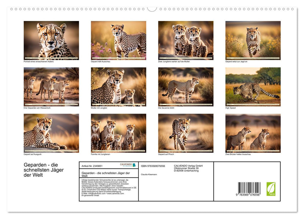 Geparden - die schnellsten Jäger der Welt (CALVENDO Premium Wandkalender 2027)