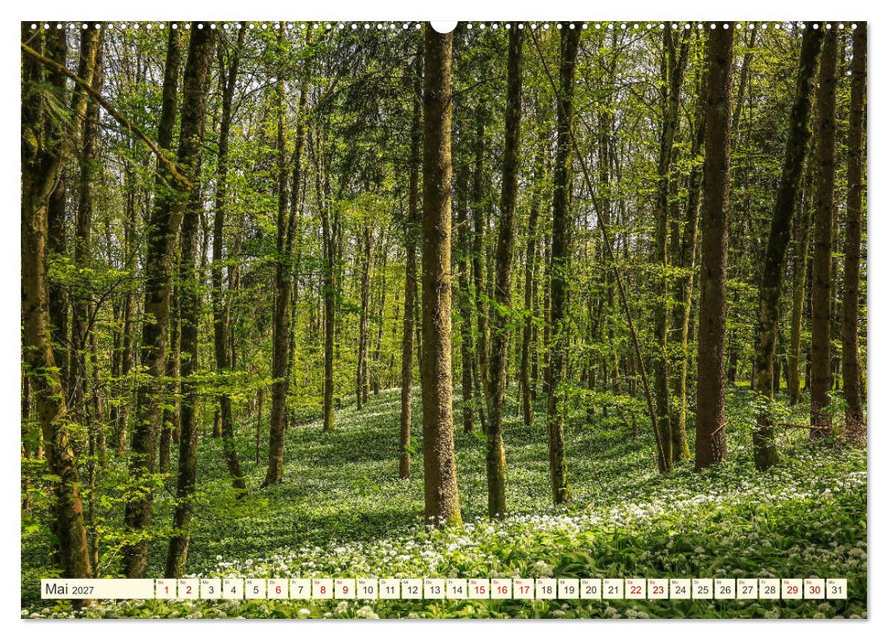Hegau und Bodensee - Lieblingsorte entdecken (CALVENDO Wandkalender 2027)