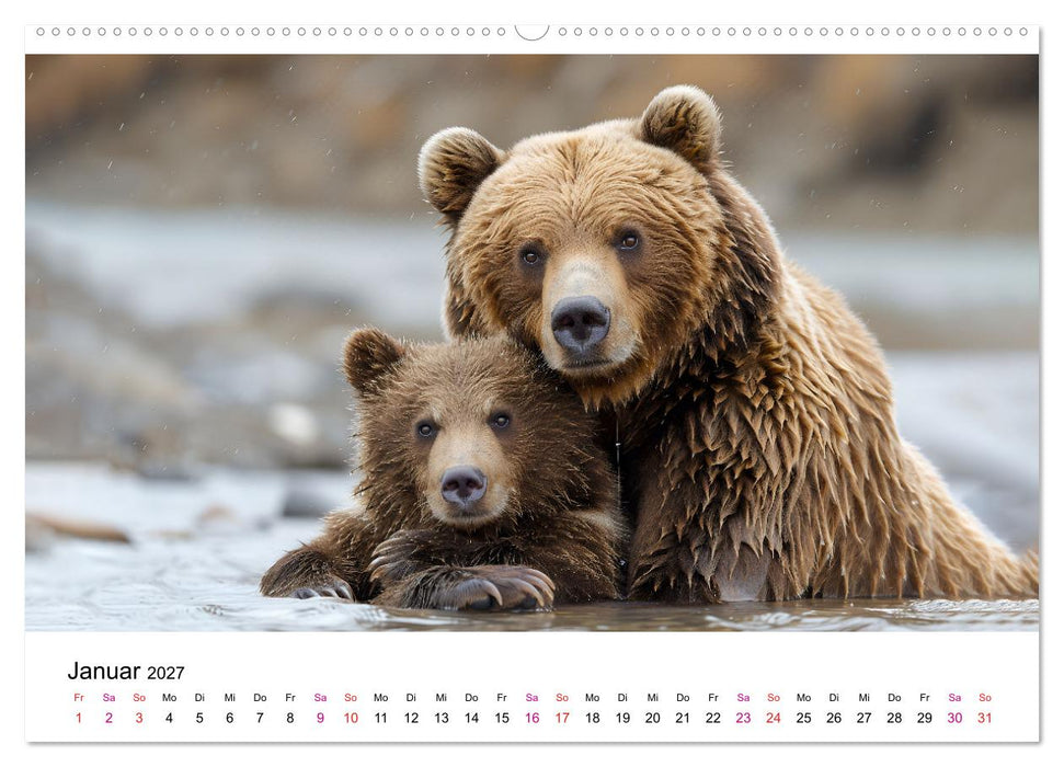 Bären - gefährlich nett (CALVENDO Wandkalender 2027)