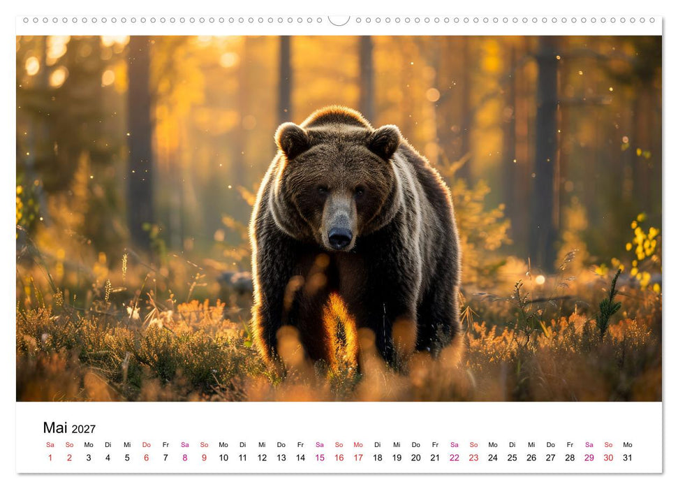 Bären - gefährlich nett (CALVENDO Wandkalender 2027)