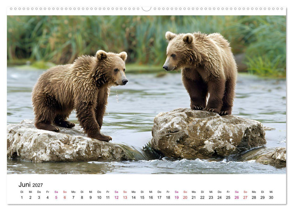 Bären - gefährlich nett (CALVENDO Wandkalender 2027)