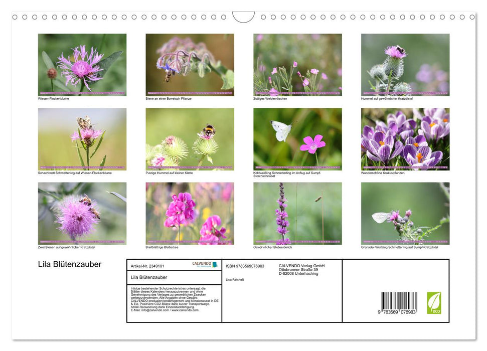 Lila Blütenzauber (CALVENDO Wandkalender 2027)