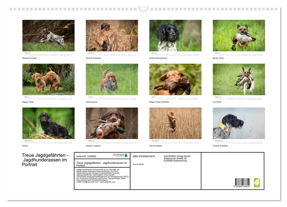 Treue Jagdgefährten - Jagdhunderassen im Portrait (CALVENDO Wandkalender 2027)