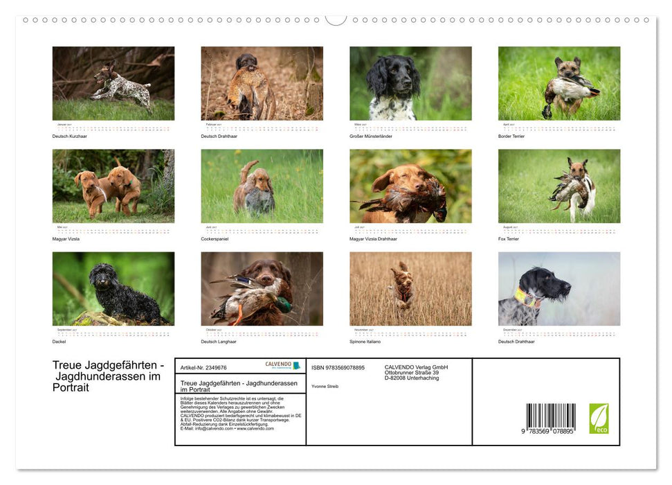 Treue Jagdgefährten - Jagdhunderassen im Portrait (CALVENDO Premium Wandkalender 2027)