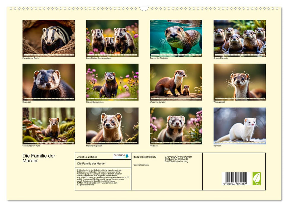 Die Familie der Marder (CALVENDO Premium Wandkalender 2027)