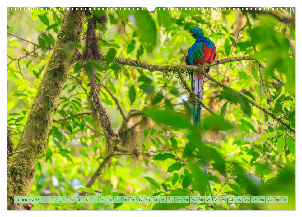 Tropenparadies zwischen Ozeanen Costa Rica (CALVENDO Wandkalender 2027)