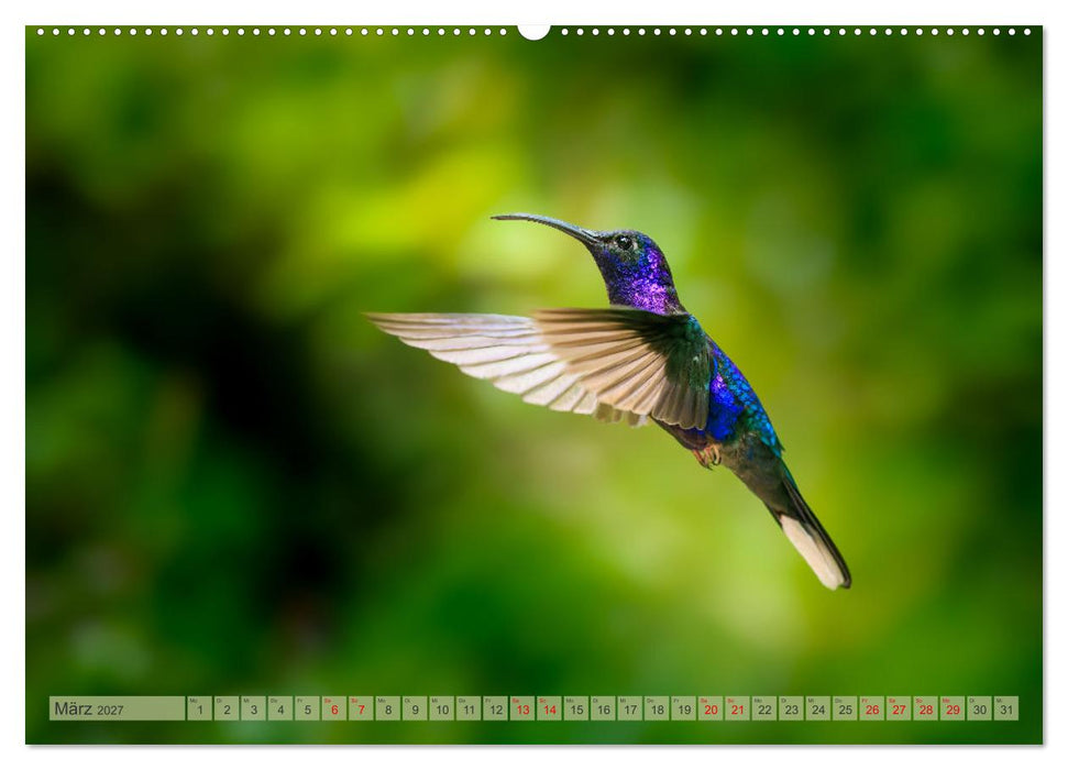 Tropenparadies zwischen Ozeanen Costa Rica (CALVENDO Wandkalender 2027)