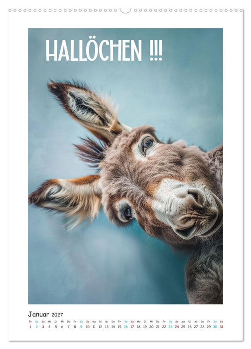 Lach Dich fit ! (CALVENDO Premium Wandkalender 2027)