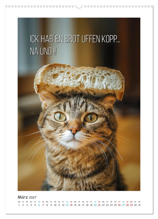 Lach Dich fit ! (CALVENDO Premium Wandkalender 2027)