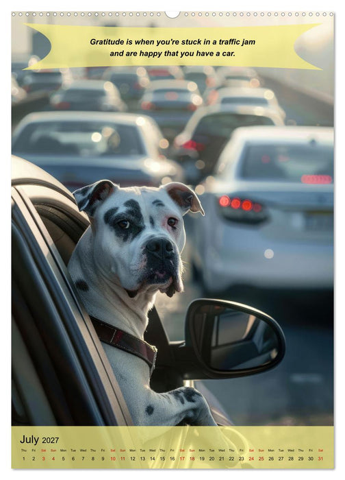 A year of greatfullness with funny animals (CALVENDO Premium-Calendar 2027)