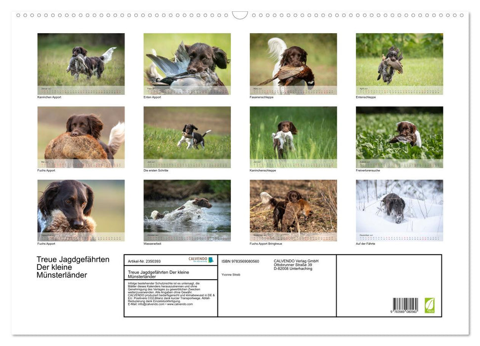 Treue Jagdgefährten Der kleine Münsterländer (CALVENDO Wandkalender 2027)