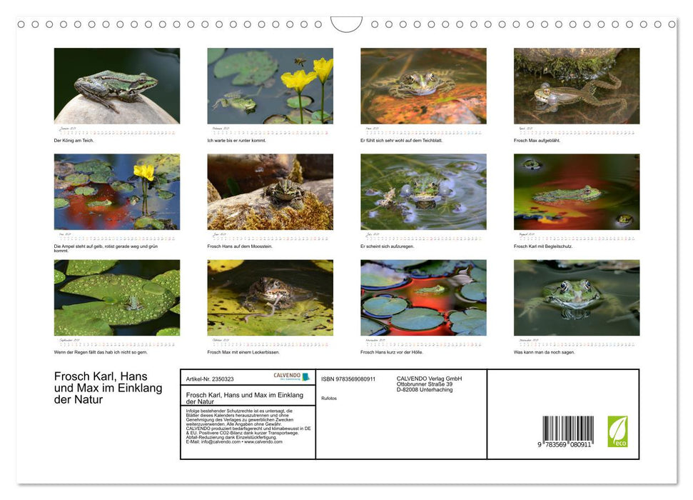 Frosch Karl, Hans und Max im Einklang der Natur (CALVENDO Wandkalender 2027)