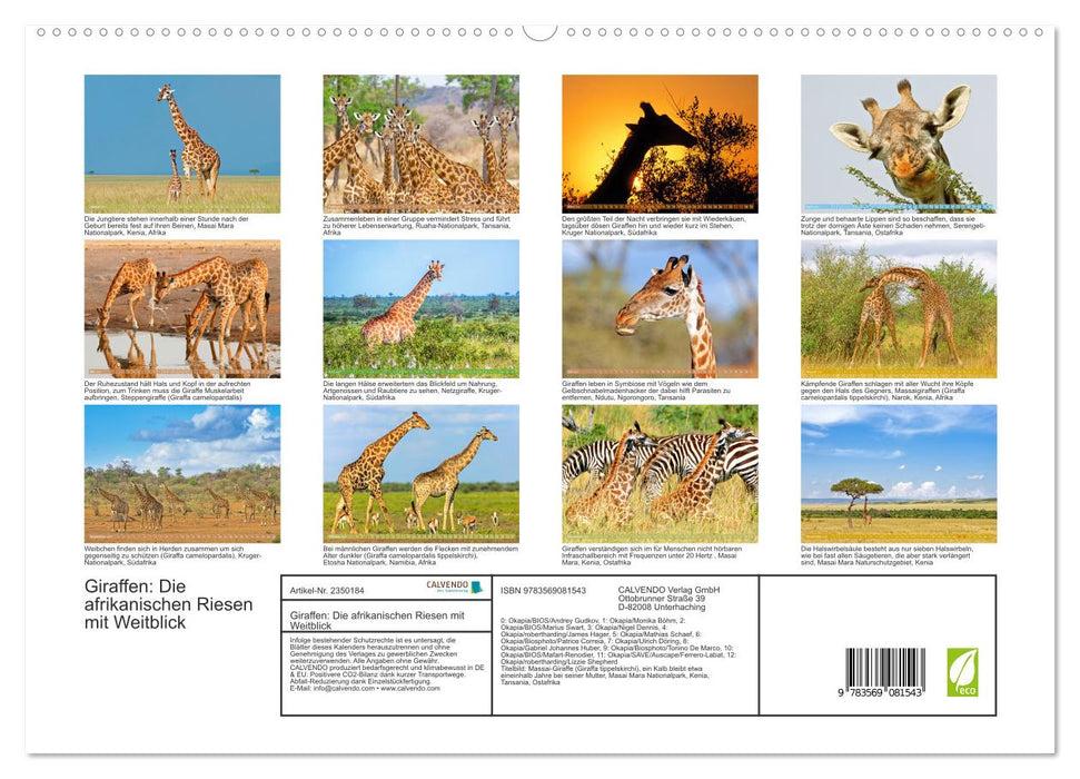 Giraffen: Die afrikanischen Riesen mit Weitblick (CALVENDO Premium Wandkalender 2027)
