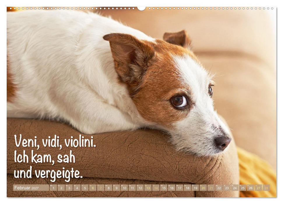 Jack Russell Terrier: Komm spielen (CALVENDO Premium Wandkalender 2027)