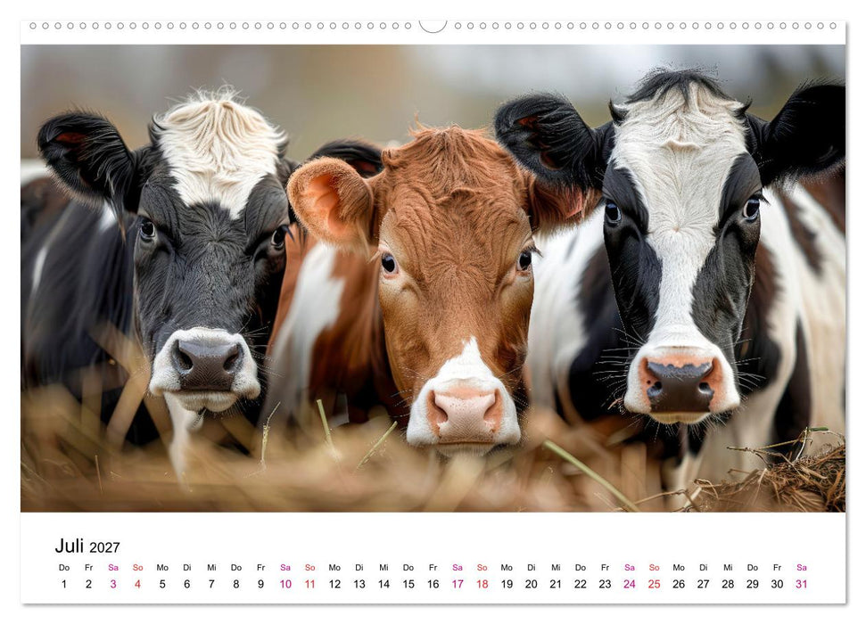 Holsteiner Schönheiten (CALVENDO Premium Wandkalender 2027)