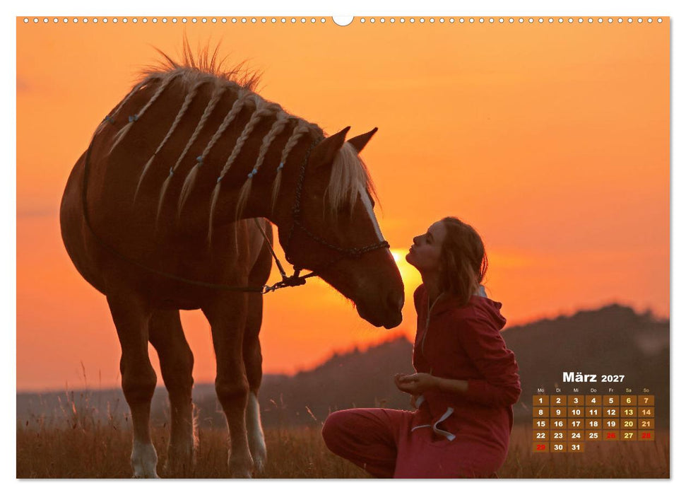 Haflinger: Die blonden Pferde von der Alm (CALVENDO Wandkalender 2027)