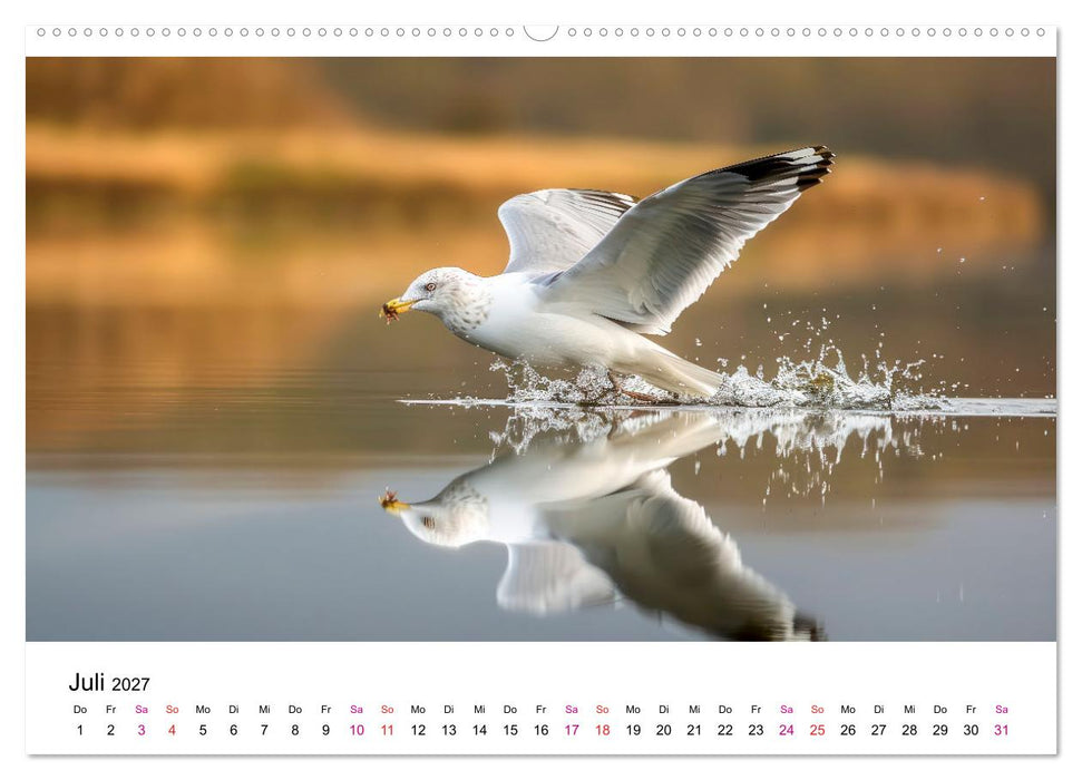 Maritim pur - Möwen (CALVENDO Premium Wandkalender 2027)