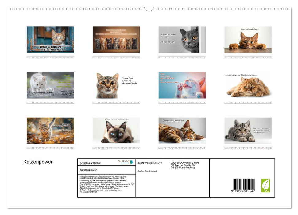 Katzenpower (CALVENDO Premium Wandkalender 2027)