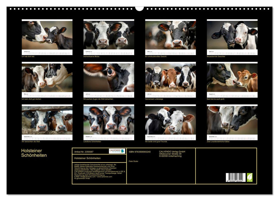 Holsteiner Schönheiten (CALVENDO Wandkalender 2027)