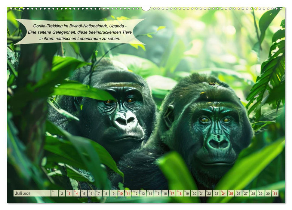 Abenteuerideen für Adrenalin Junkies (CALVENDO Premium Wandkalender 2027)