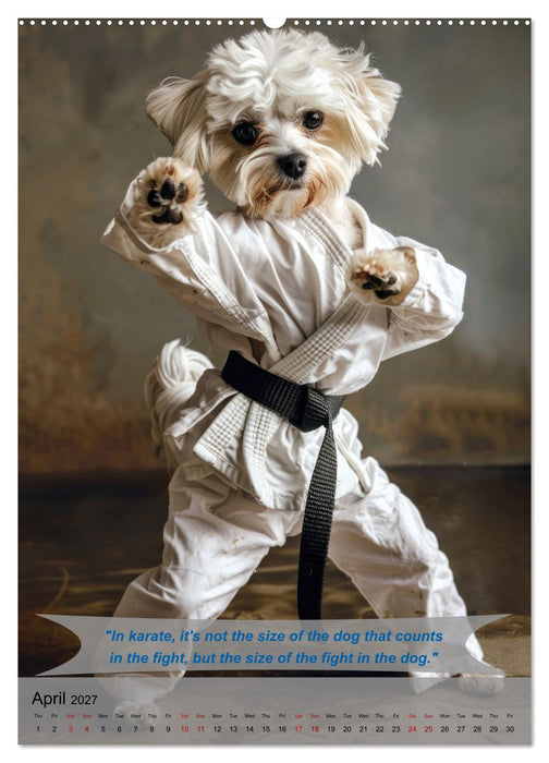 Great fun with animal karate fighters (CALVENDO Monthly Calendar 2027)