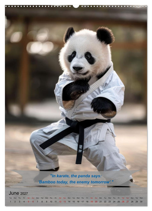 Great fun with animal karate fighters (CALVENDO Monthly Calendar 2027)