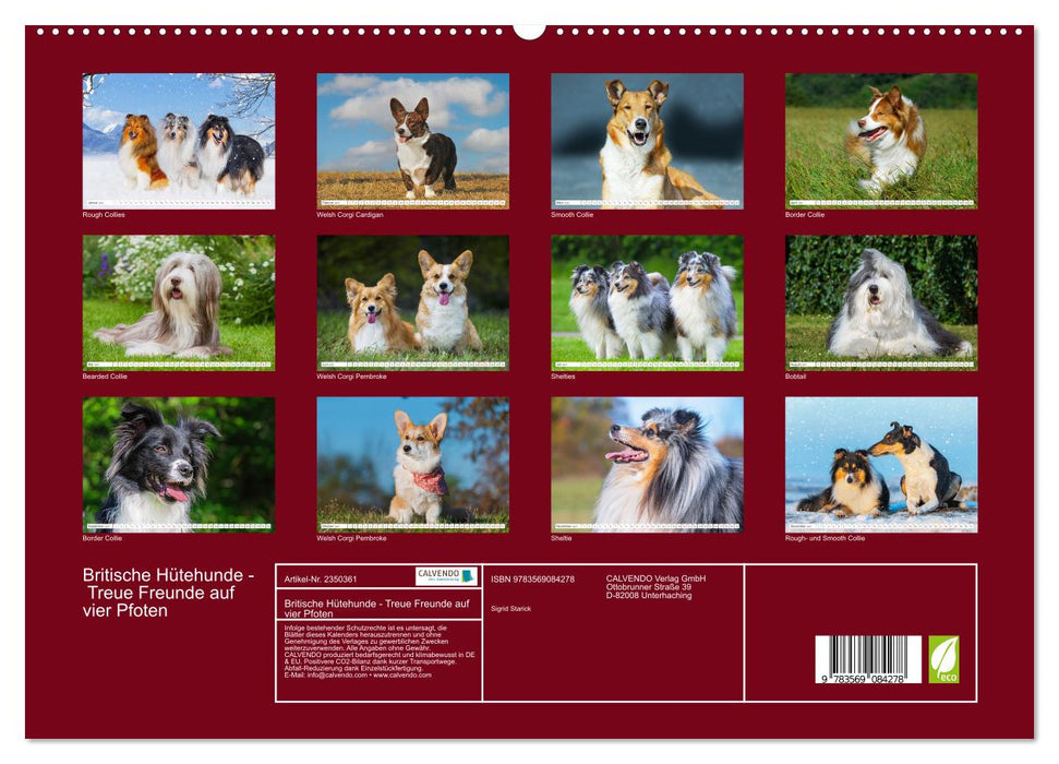 Britische Hütehunde - Treue Freunde auf vier Pfoten (CALVENDO Premium Wandkalender 2027)