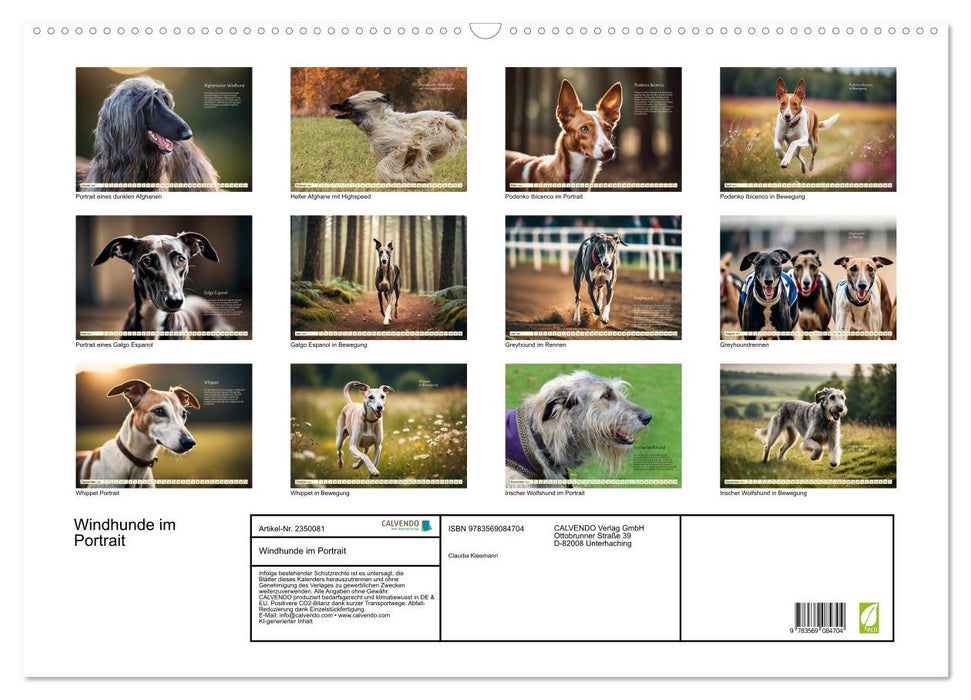 Windhunde im Portrait (CALVENDO Wandkalender 2027)