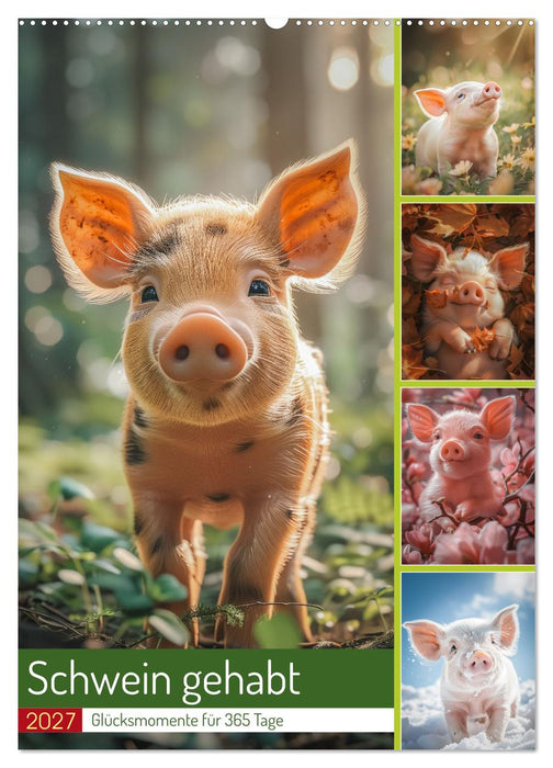 Schwein gehabt (CALVENDO Wandkalender 2027)