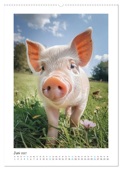 Schwein gehabt (CALVENDO Wandkalender 2027)