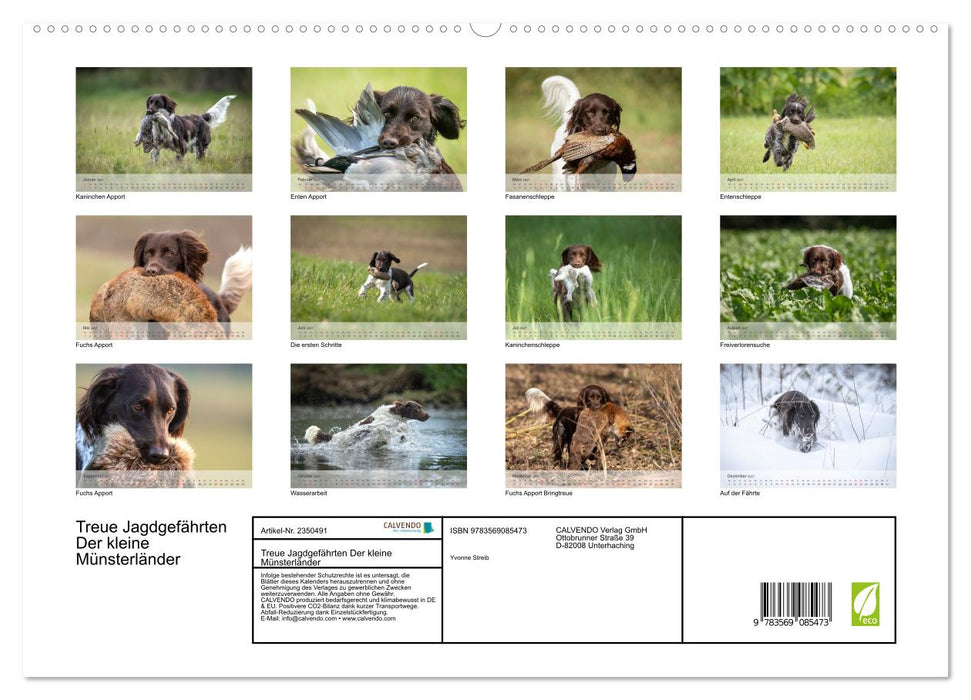 Treue Jagdgefährten Der kleine Münsterländer (CALVENDO Premium Wandkalender 2027)