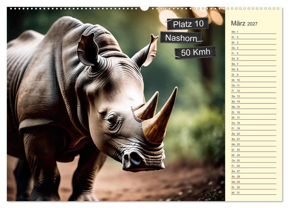 Wer rennt am schnellsten? (CALVENDO Wandkalender 2027)