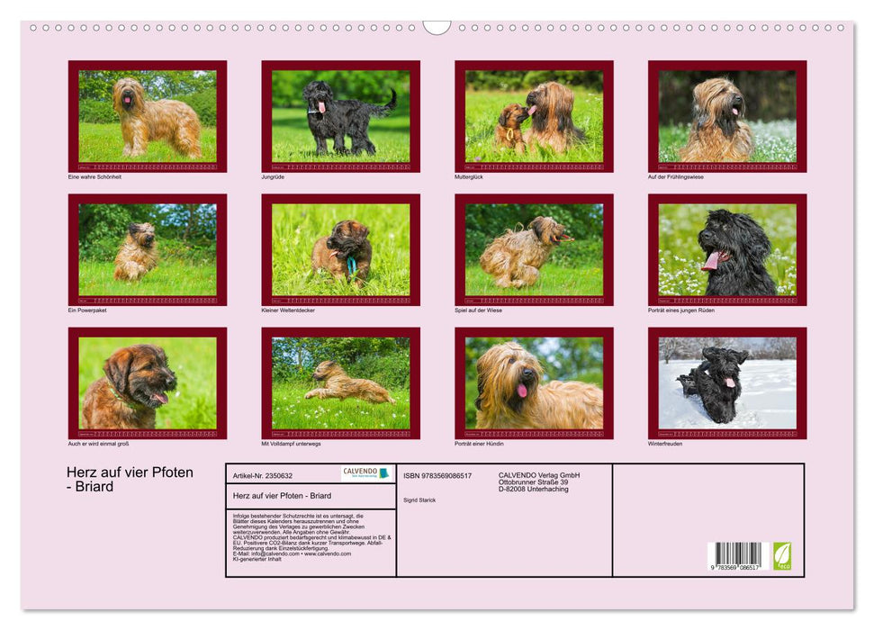 Herz auf vier Pfoten - Briard (CALVENDO Wandkalender 2027)