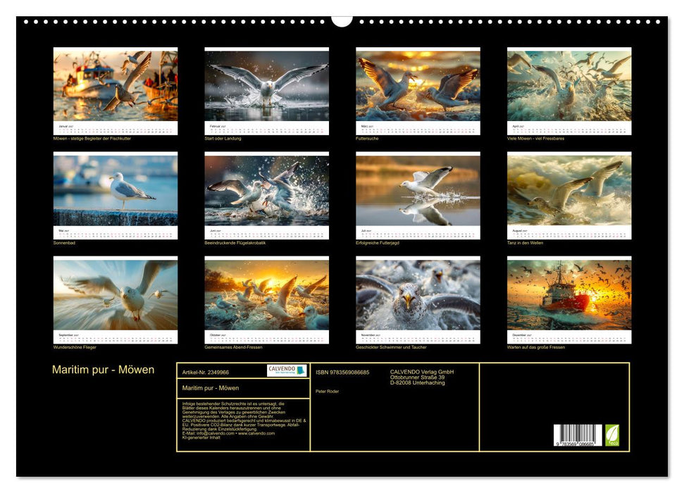 Maritim pur - Möwen (CALVENDO Wandkalender 2027)