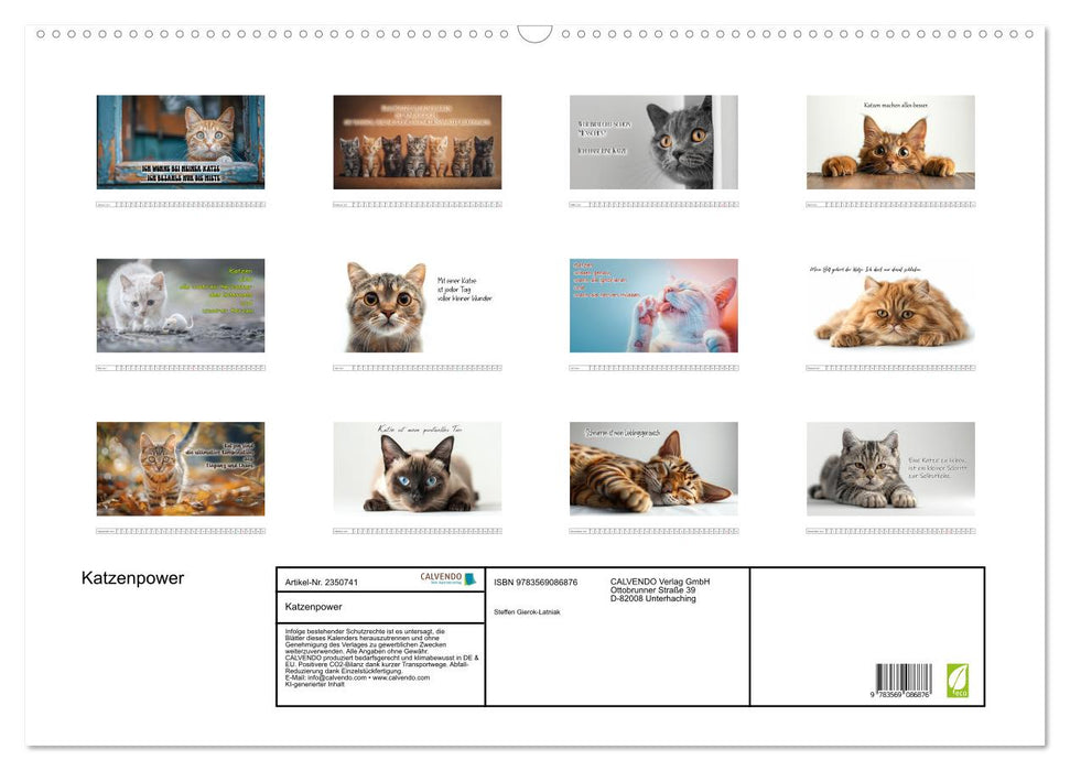 Katzenpower (CALVENDO Wandkalender 2027)