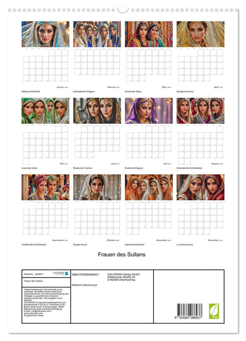 Frauen des Sultans (CALVENDO Premium Wandkalender 2027)
