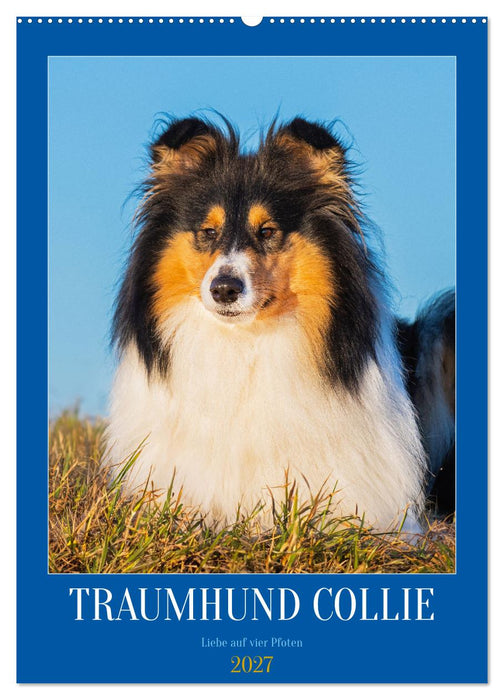 Traumhund Collie - Liebe auf vier Pfoten (CALVENDO Wandkalender 2027)