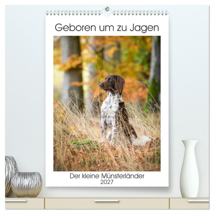 Geboren um zu Jagen. Der kleine Münsterländer (CALVENDO Premium Wandkalender 2027)