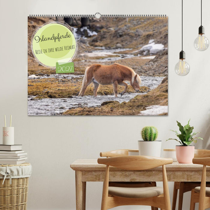 Islandpferde - Reise in ihre wilde Heimat (CALVENDO Wandkalender 2027)