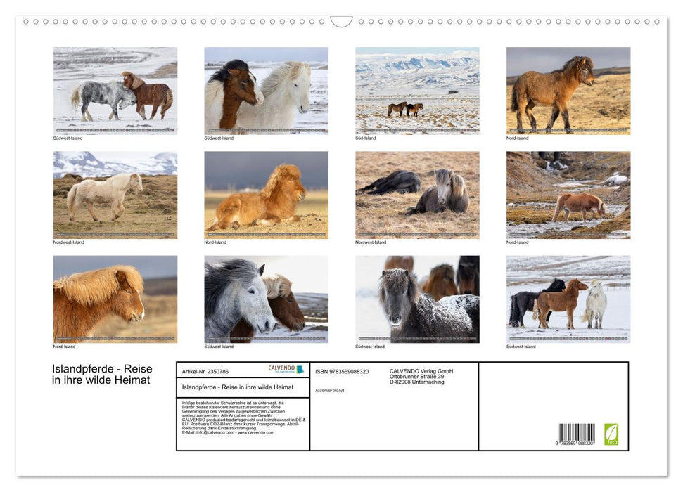 Islandpferde - Reise in ihre wilde Heimat (CALVENDO Wandkalender 2027)
