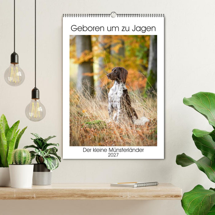 Geboren um zu Jagen. Der kleine Münsterländer (CALVENDO Wandkalender 2027)