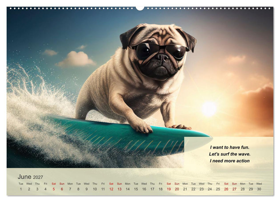 Great fun for pug lovers (CALVENDO Premium-Calendar 2027)