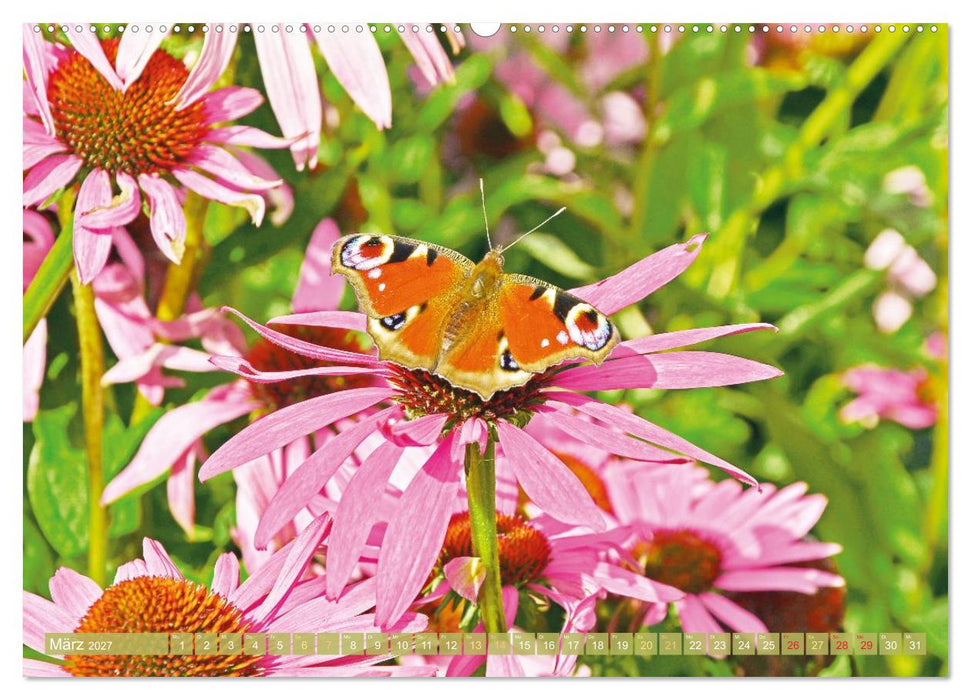 Blüten im Kräutergarten (CALVENDO Premium Wandkalender 2027)