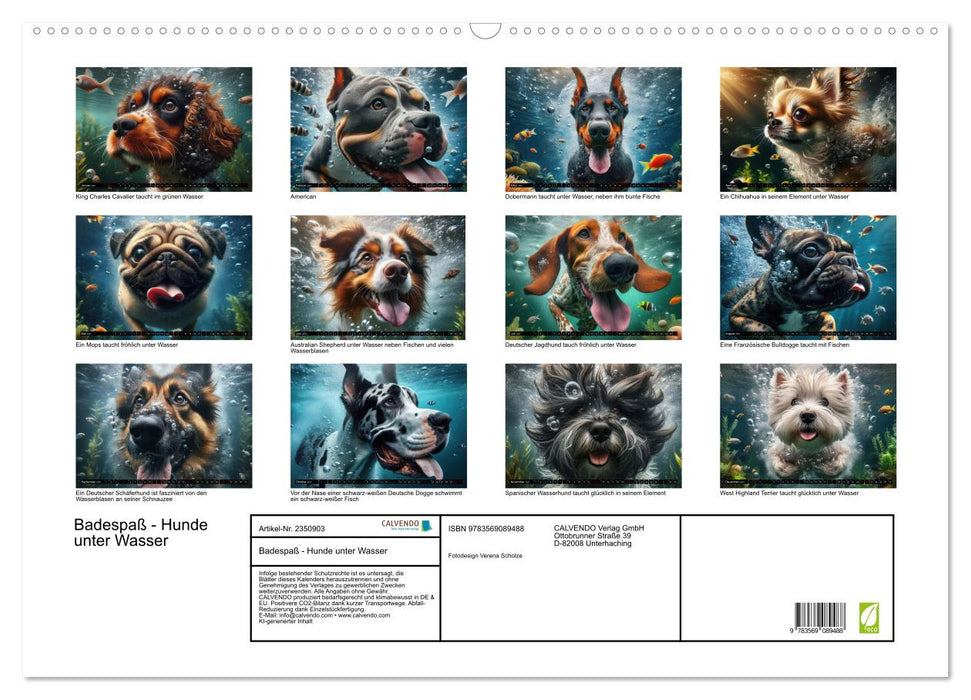 Badespaß - Hunde unter Wasser (CALVENDO Wandkalender 2027)
