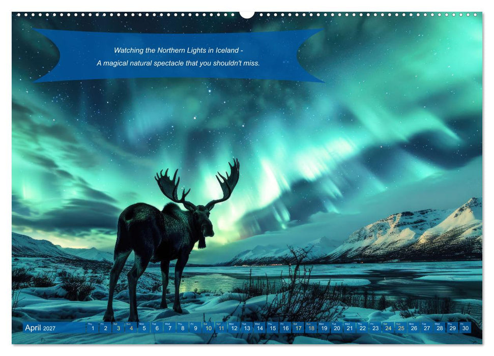 Crazy ideas for adventure enthusiasts (CALVENDO Monthly Calendar 2027)