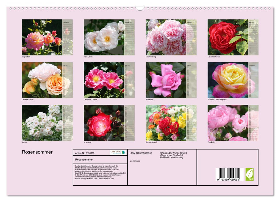 Rosensommer (CALVENDO Premium Wandkalender 2027)