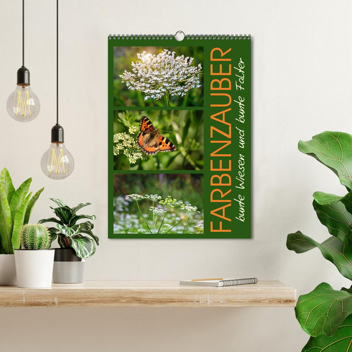 Farbenzauber, bunte Wiesen und bunte Falter (CALVENDO Wandkalender 2027)