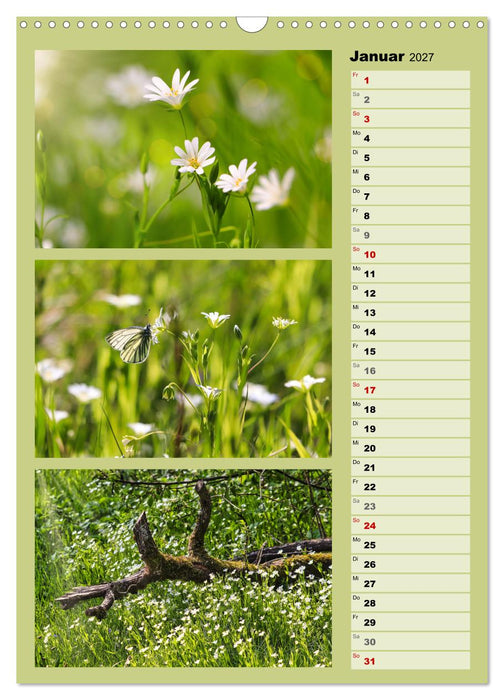 Farbenzauber, bunte Wiesen und bunte Falter (CALVENDO Wandkalender 2027)
